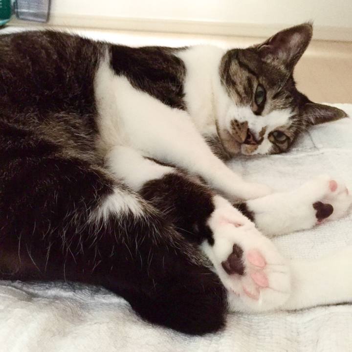 E74de6bf 6705 4b1a a7c6 f4beaeb56f48