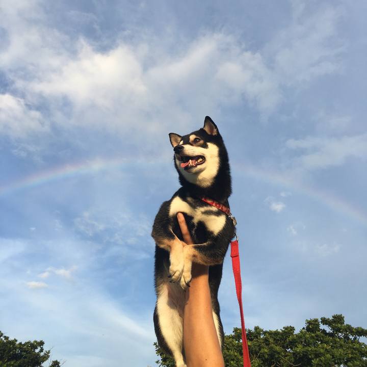 E74e7b57 680e 4f86 be59 39605158146d