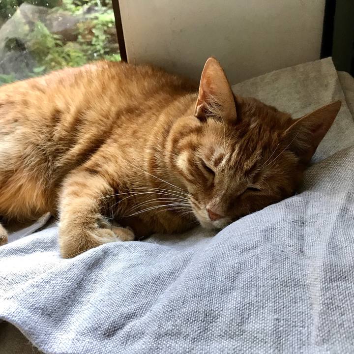 E74eefe1 3cd0 443d b8c2 88df41b32941