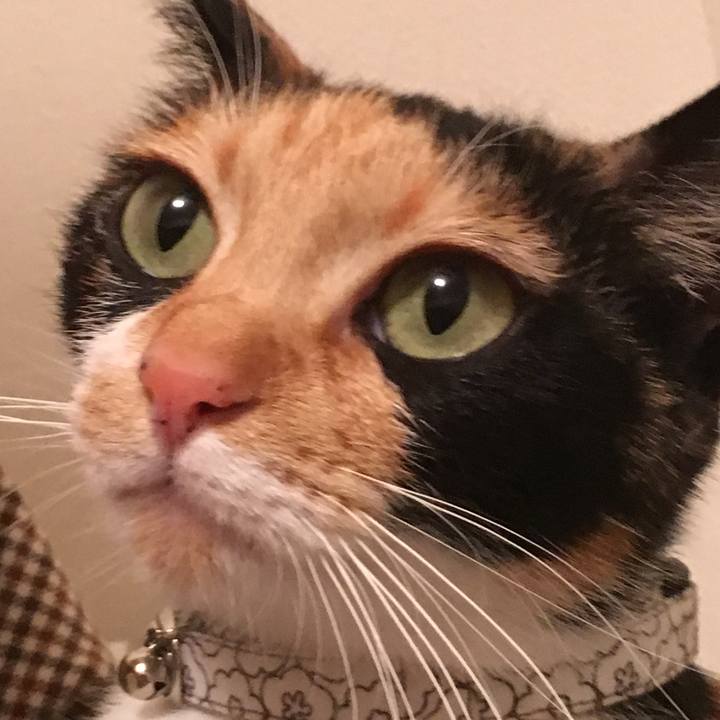 E74ef3e4 504e 4daa bc35 ce83608c8811