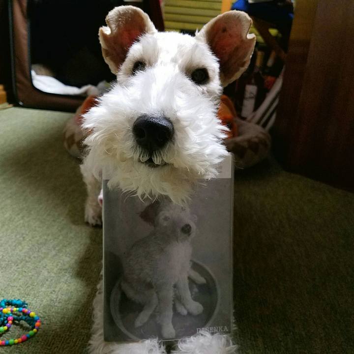 E74f159f b84b 451a b278 39762c6e3f49