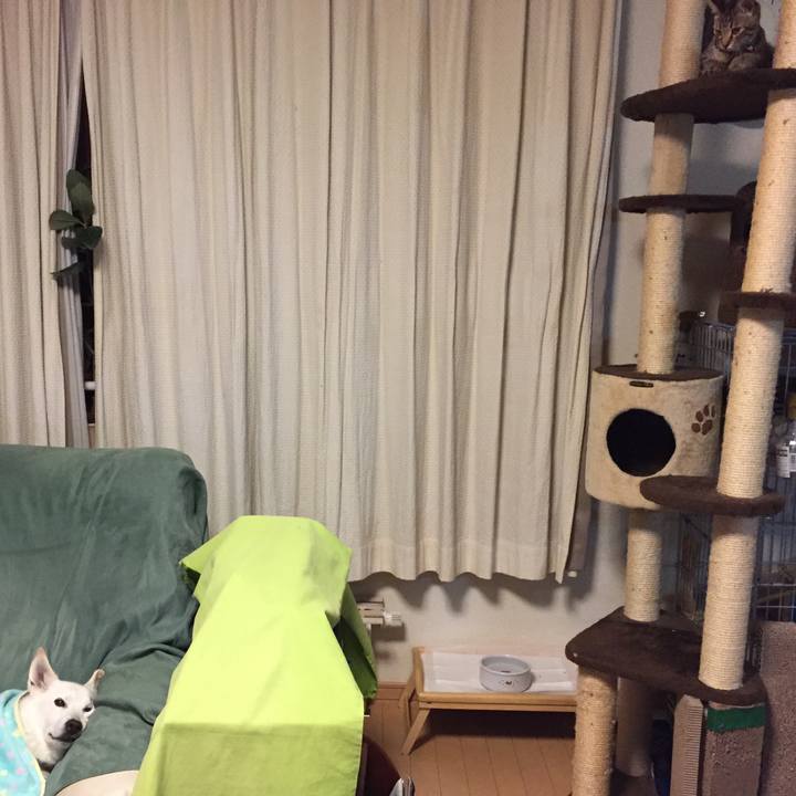 E74fc13f 64b1 42d1 bdbf dfe736db1a50