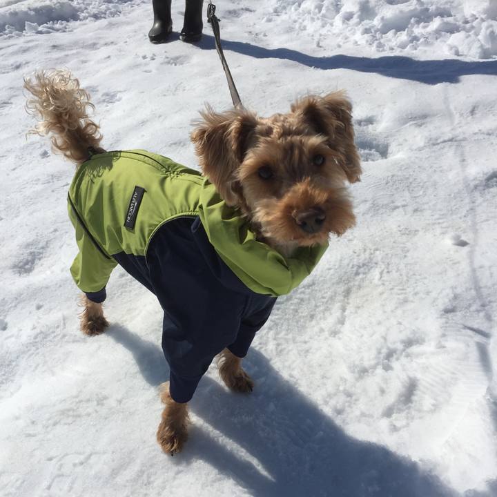 E74fe3c8 d7a7 4245 91f7 9abcef353500