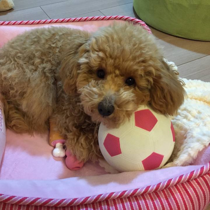 E75024a5 9332 40a3 8be8 c3ed782dd7f4