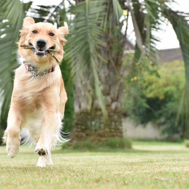 E750c61d e419 4ce8 92c1 26e8b1e3cafa