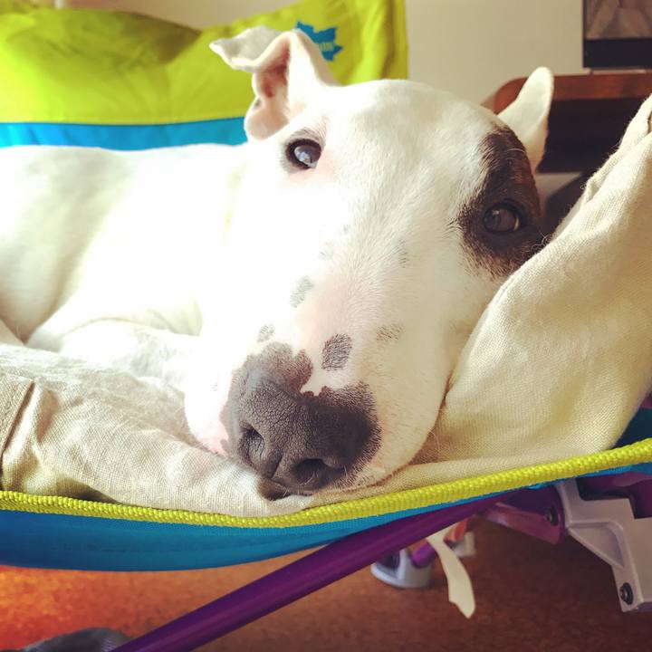 E750d562 5e69 4e06 9a16 5576161fdbe5