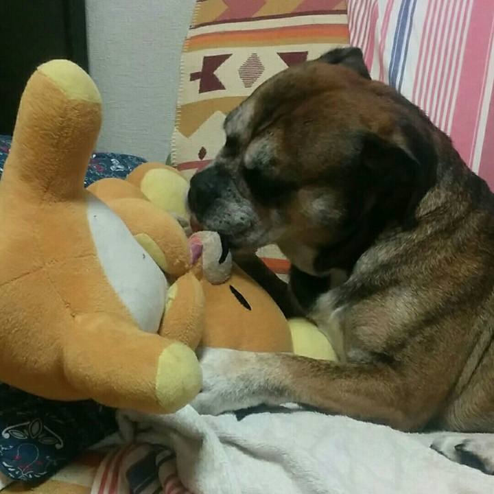 E750d9d0 599d 4750 9890 104d11d2cf2b