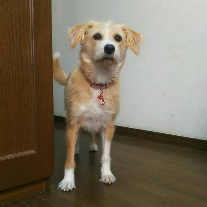 E7513c12 fd4e 4bf0 8570 2bab876e8c08