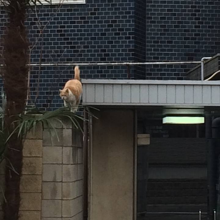 E75268d3 af3e 4b8d 825a be5f36a489fb