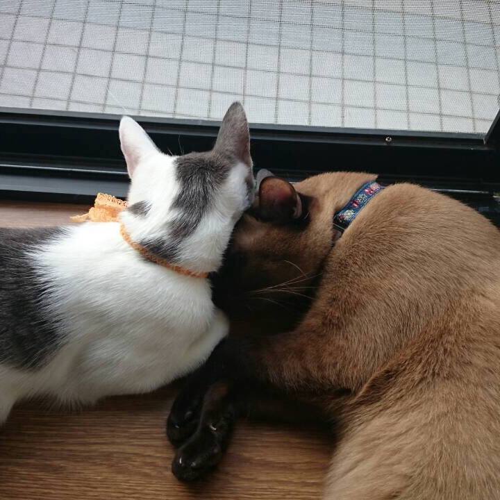 E753402c a6f0 4095 aed0 9fccc7bde11c