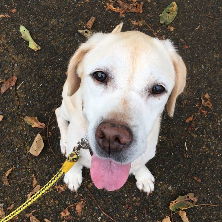 E753daab 73a3 4bcd a6e8 7acdc01c4adc