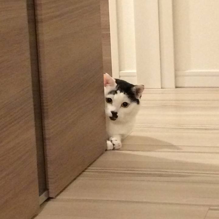 E7542b9c 8a10 449b a4a2 9a8d9eae2ec9