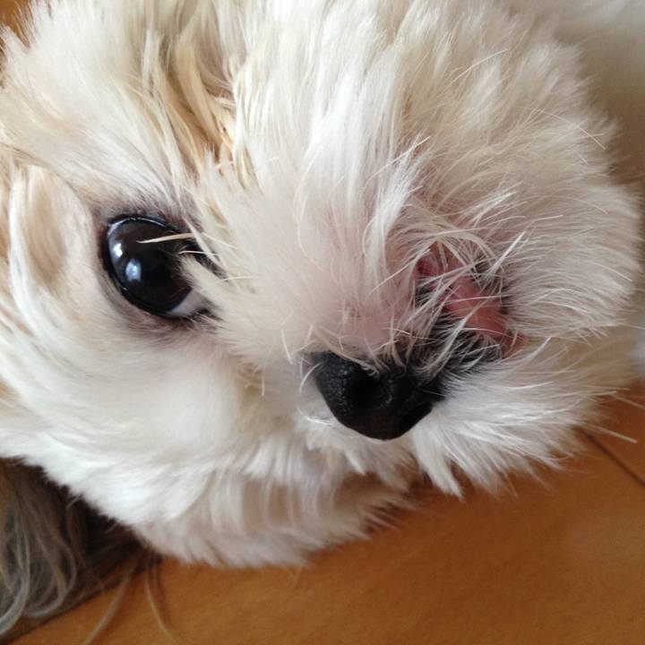 E7544b82 8468 4f75 a475 e043ce61b80b