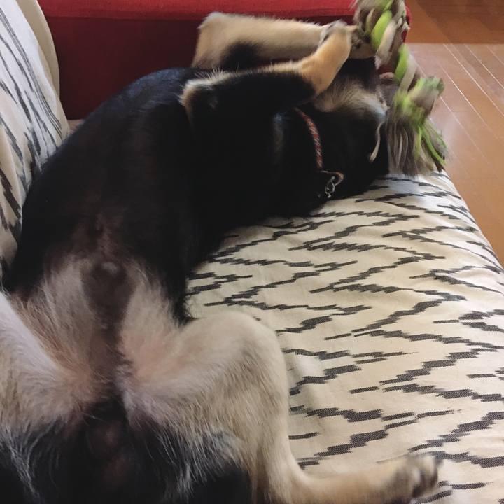 E754fb94 18e1 4820 813b a8b2e45d6d57