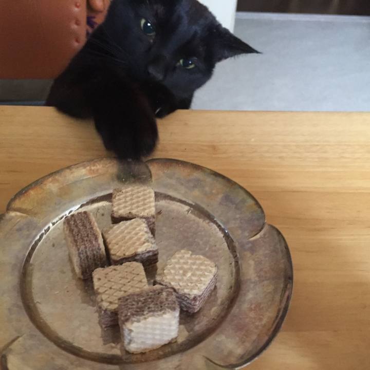 E7552303 a8f9 4ce7 9d7b 211311f1ca8d