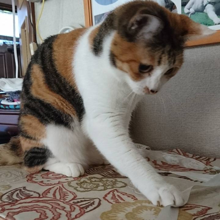 E755b1a4 c7cb 4ce8 bb95 47a42821d045