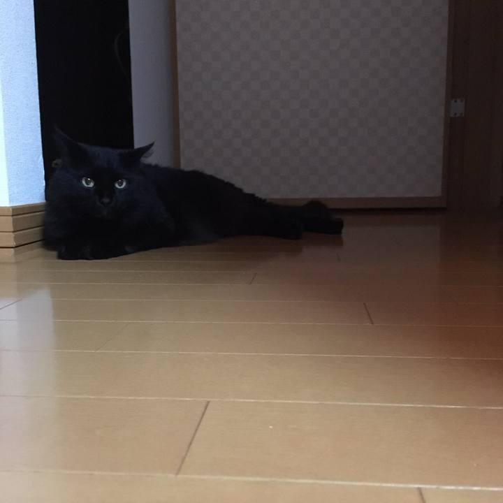 E7565822 e5d1 4493 a03f ea628c9f7df5