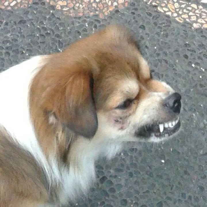 E756a371 72b2 4a91 9548 41fc43cd5e91