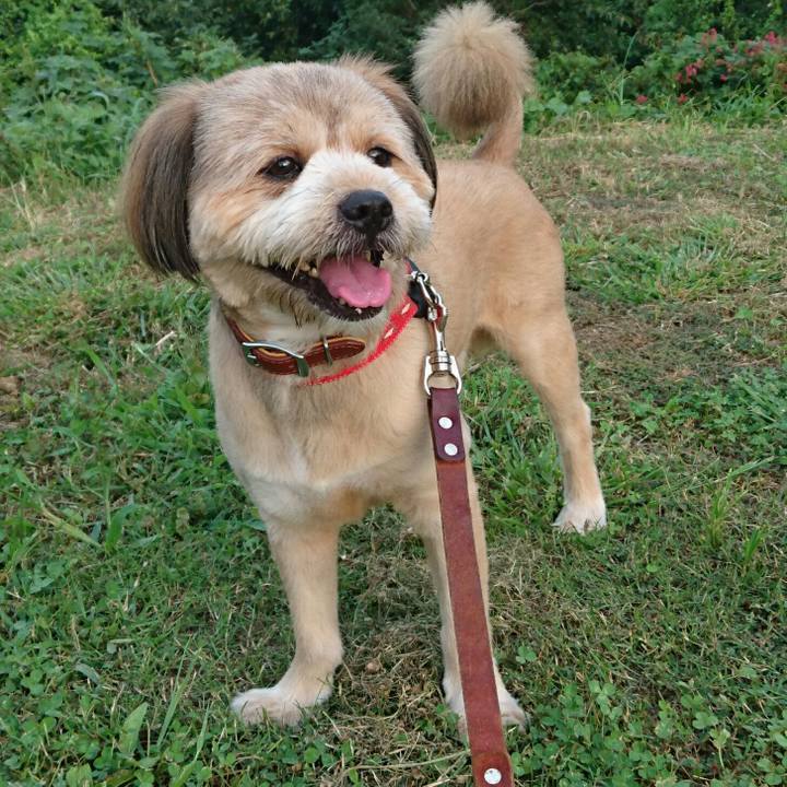 E7582d93 ddbb 4c21 8ba6 200834027962