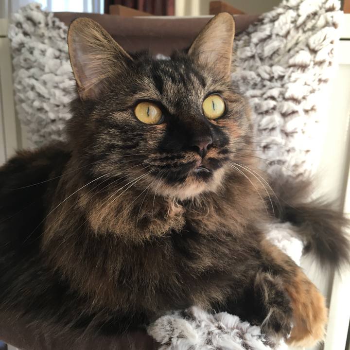 E7587777 8a45 40c1 97f1 2cee22d8adce