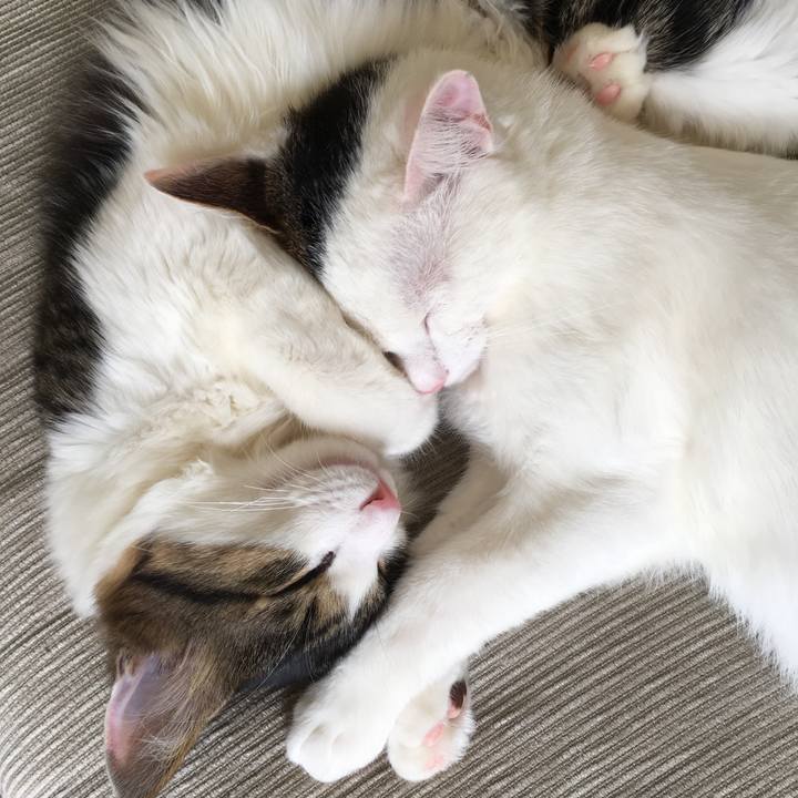 E75887d1 c18c 41e7 9fcd c0828ff293fb