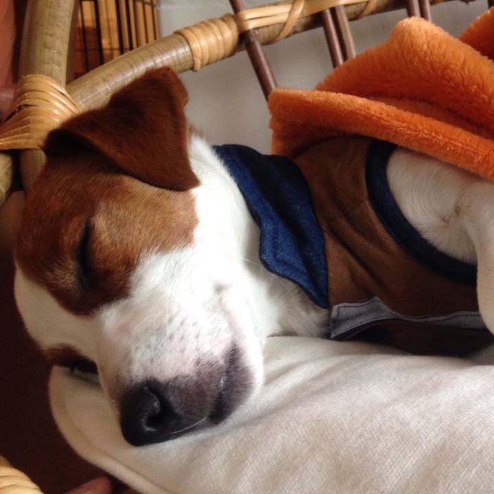 E7589115 2062 4046 a034 62c29bb5da49