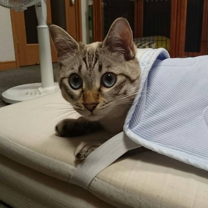 E758db2f faeb 4cae 81c3 9ad83d3c979e