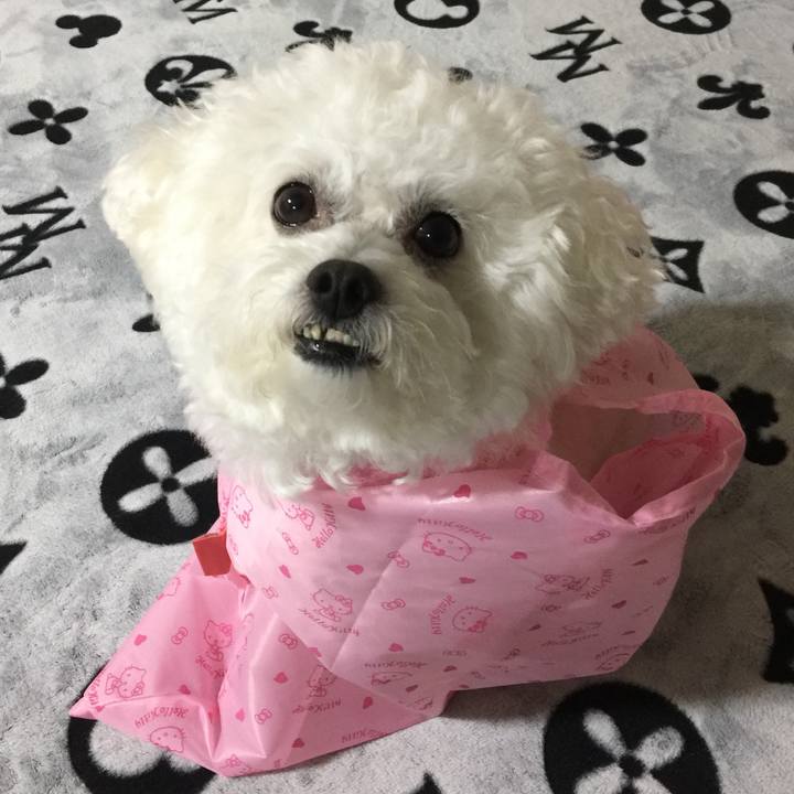 E758e797 fdeb 469f 9a99 1f8c2e1dd116