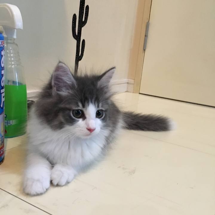 E758f27c fcc8 46fc a46e 2648936d11c1