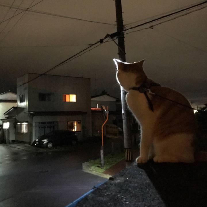 E758f3f7 23ac 4a2f aaa3 4bc7230bd6cb