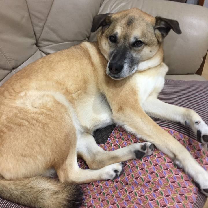 E758faef bb3d 4357 a021 30bf5d036174