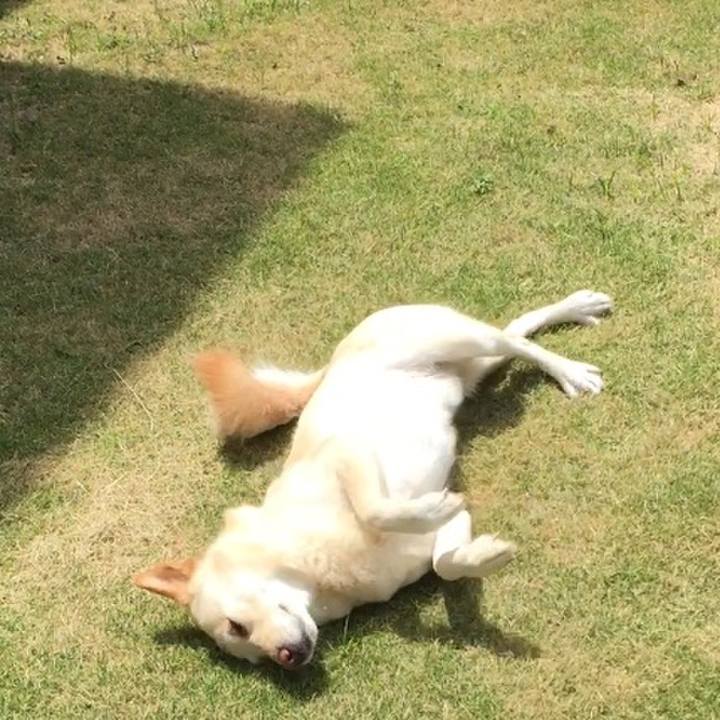 E758fcd3 8d76 4786 8f0e a7138a550f0f