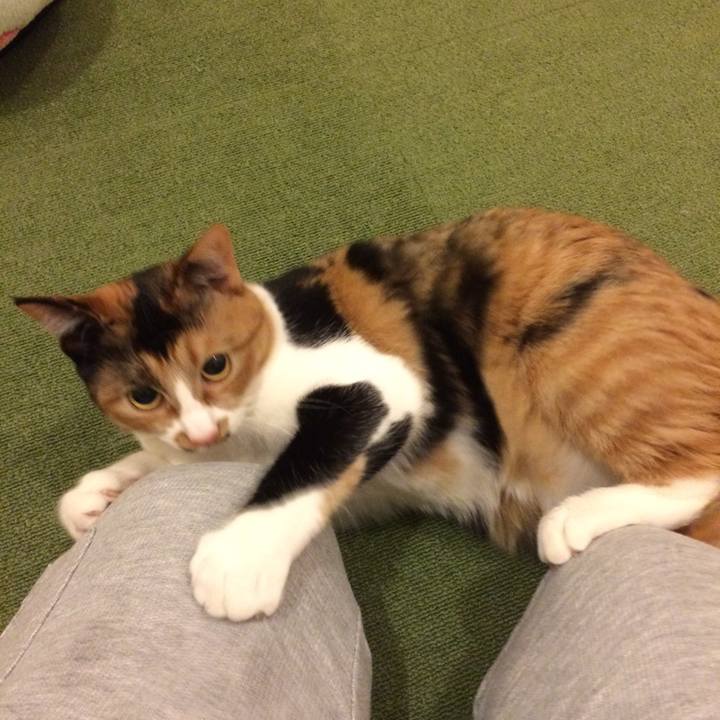 E7593447 8119 49f5 bfb0 e9c21eaf43ac