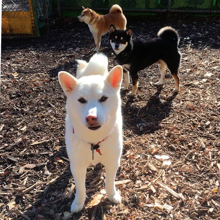 E75b7cdc 82b6 49a9 a9eb 2ce6905c79a6