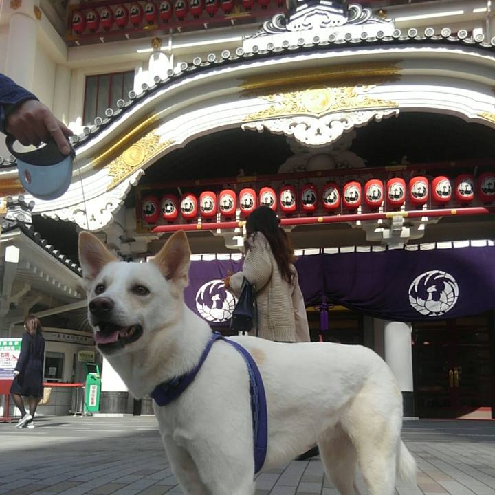 E75bccd1 0f7b 487d bbd5 83d774f61fd6