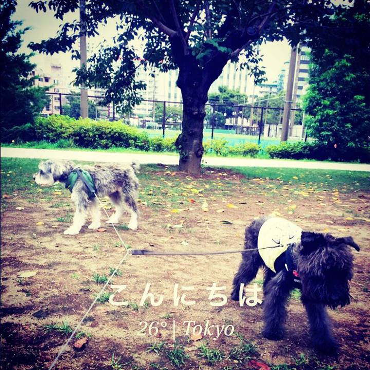 E75bd5fd 8673 4340 bea4 2a8f8c5a5bc4