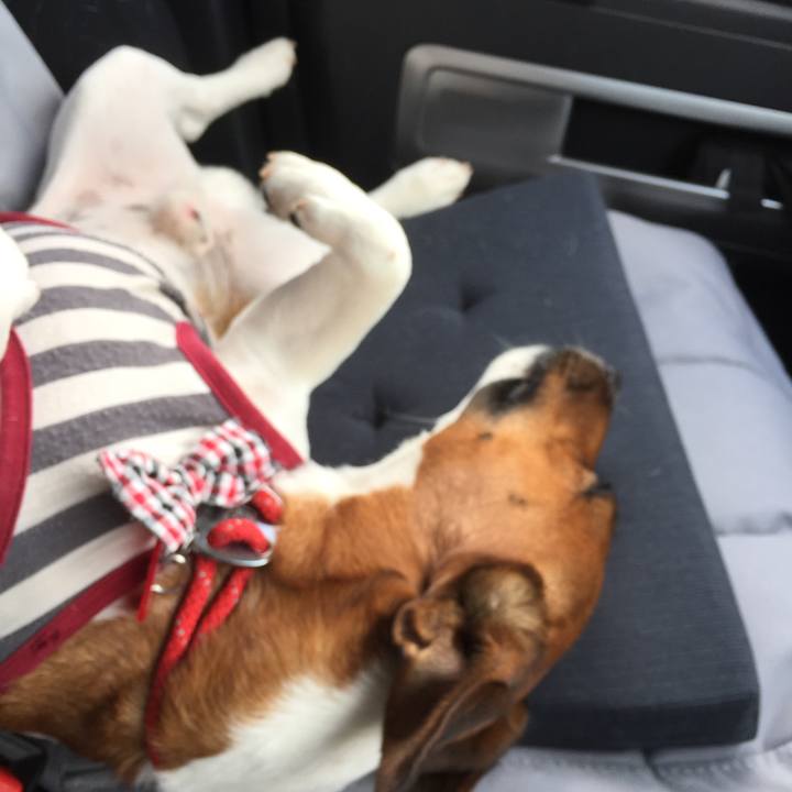 E75cbb50 0ca0 4ef2 adfc 2c9d53af3cf8