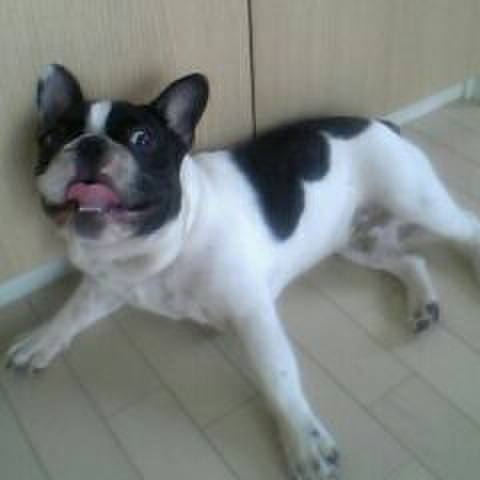 E75d5268 5e36 4fa8 bb22 157b01bec523