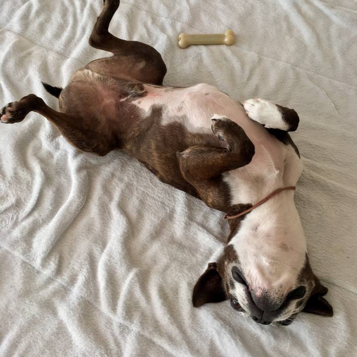 E75d7724 5e57 48c2 adf2 5adbf9aef376