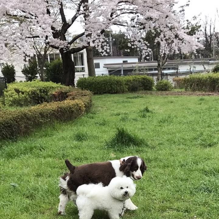 E75dea94 39de 4d08 9f21 e45cbc9d51cb