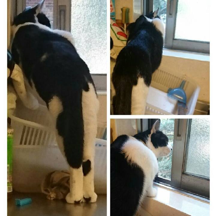 E75e1618 e276 40c0 8917 00dbfa52d39e