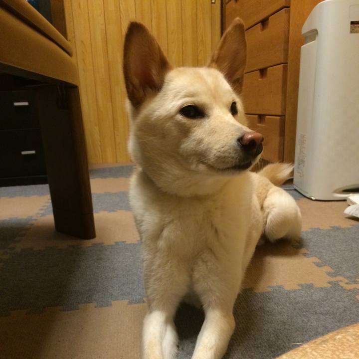 E75e3b4a edd1 4bd2 b296 664cd3d28192