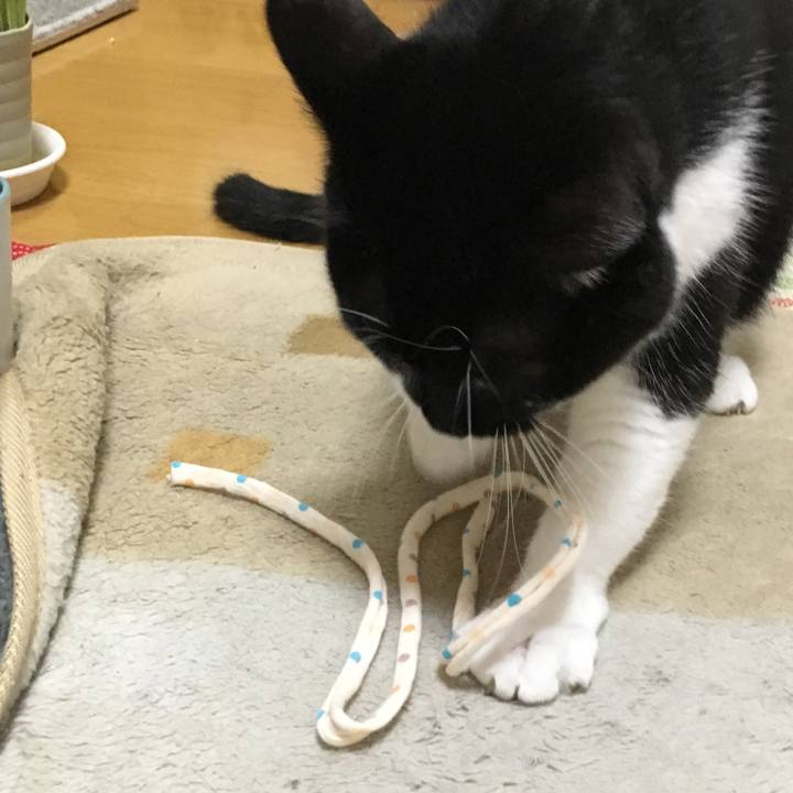 E75e4a28 36af 43f7 a127 58db2b5d0230