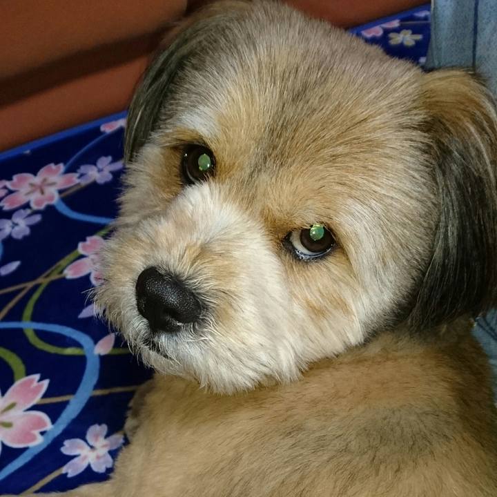 E75e58cc 3051 4fb0 baa7 8f7790f53a52