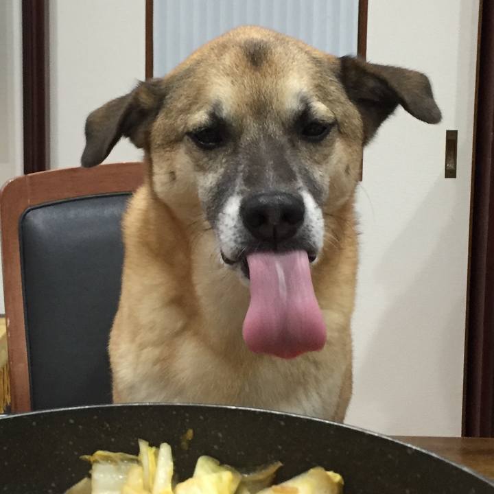 E75e698d 5882 4e00 a450 90444b7e2799