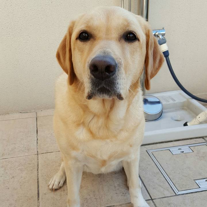 E75ee3e2 6b33 4ccd 9c6e 9d8ef470a4d5