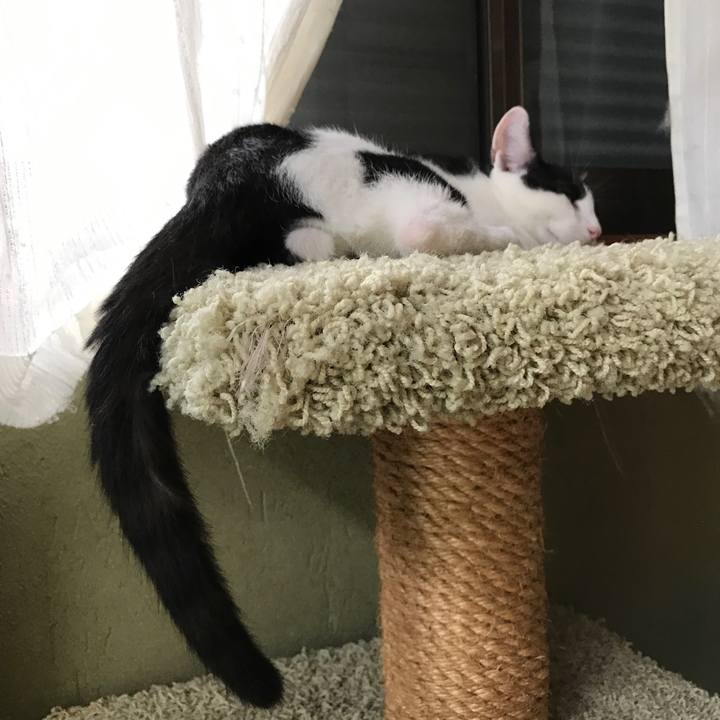 E75efcac 7417 4ad8 8fc6 c46b5c5d4102