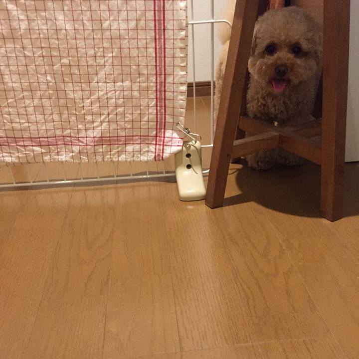 E7605f02 3c38 44d6 8554 553ad1abf2c1