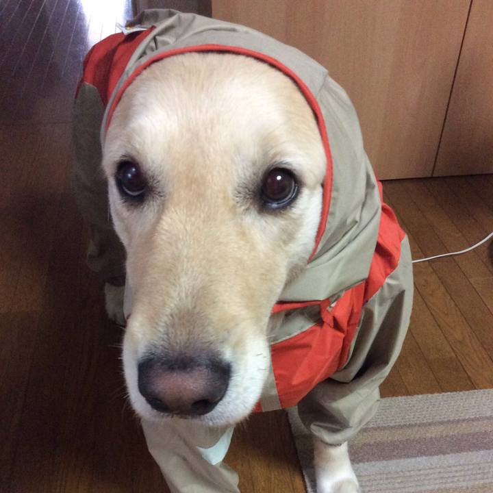 E760d439 1b1b 4ec8 9d19 66d233a36ed4