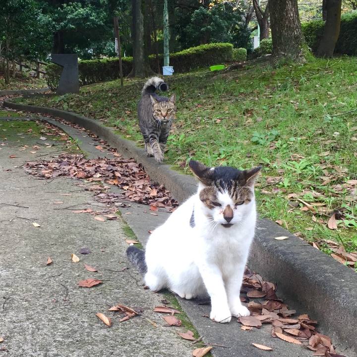 E761442a 9549 4f5d b996 28013095624e